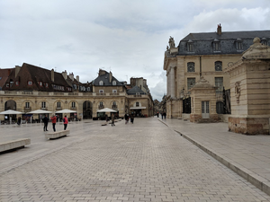 Vétérinaire de Garde Dijon